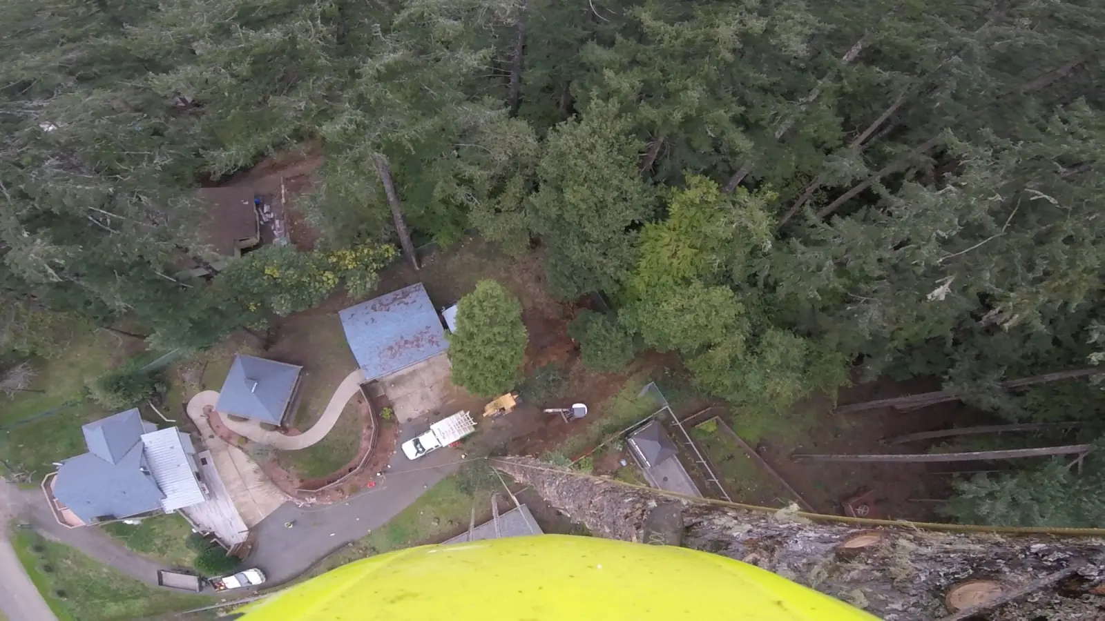 View from a True Tree climber's helmet camera high above a customer's property